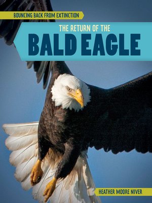 cover image of The Return of the Bald Eagle